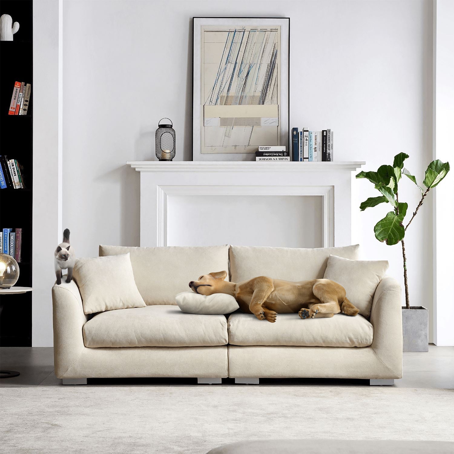 Feathers Washable Couch Sectional (3-6 Seater)