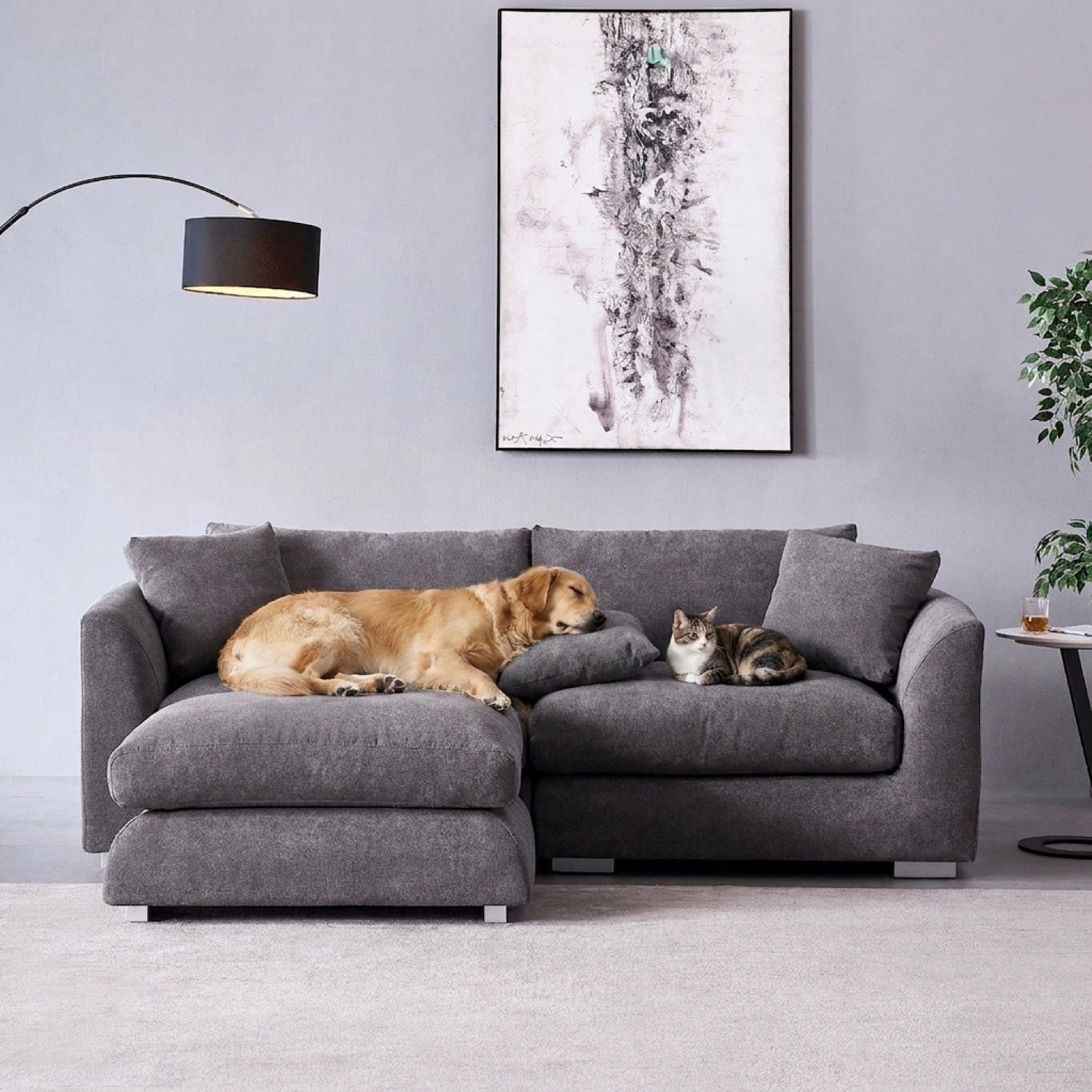 Grey Feathers Sectional sofa with chaise lounge, featuring a cat, a dog, and a dog toy in a living room setting.