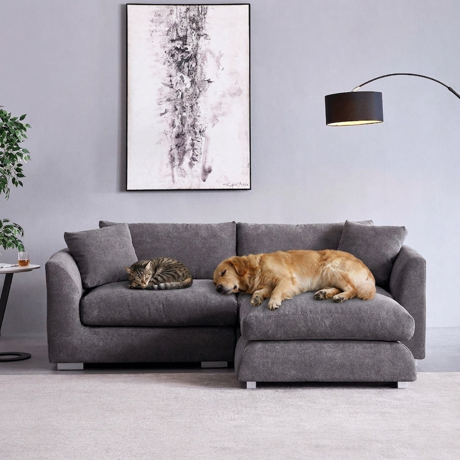 Gray Feathers Sectional sofa with a chaise lounge in a modern living room setting