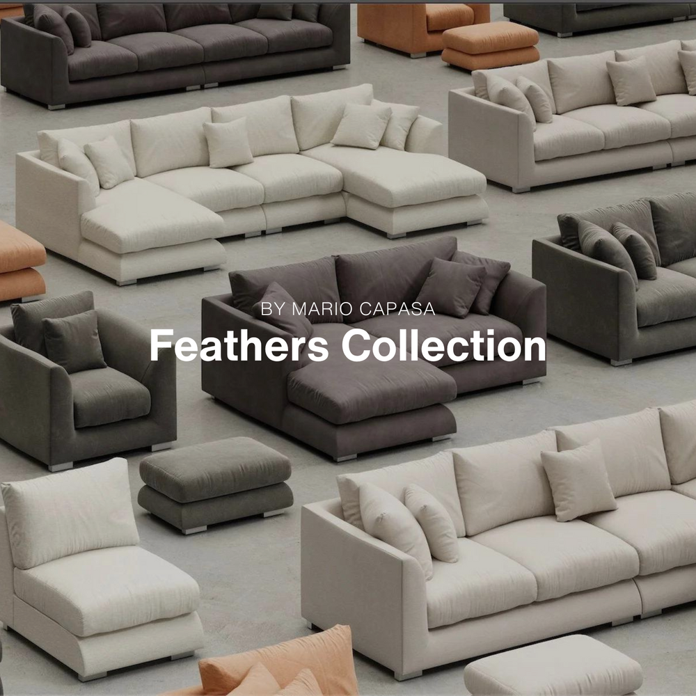 Mario Capasa Feathers Sectionalnull