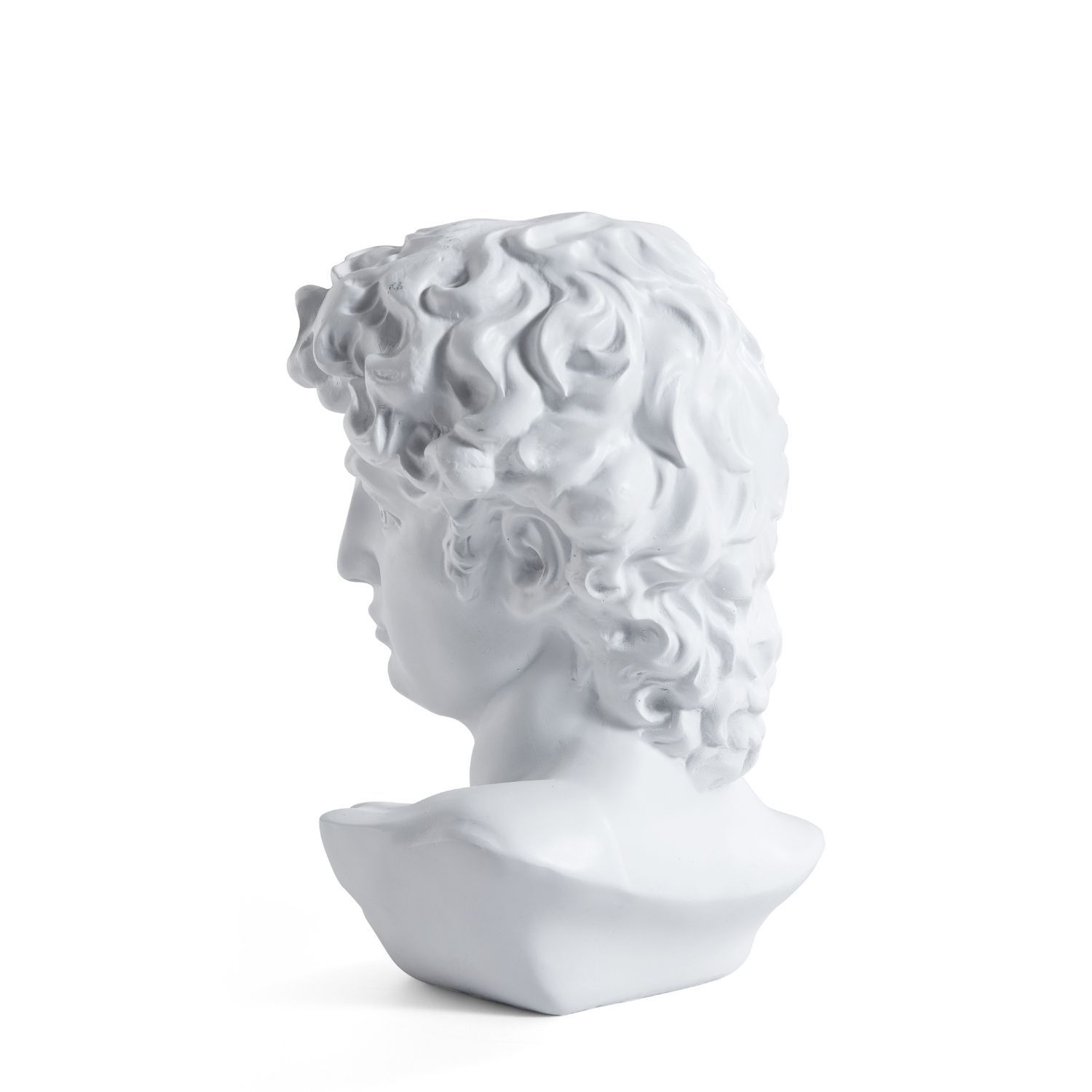 Adonis Bust Accessory Foundry 
